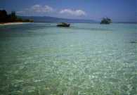 Clear Sea