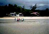 Low tide