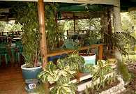 Restaurant Pagoda Verde