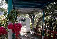 Pergola