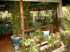 'Pagoda Verde' Restaurant