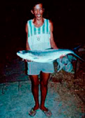 Fresh Fish from our fisherman